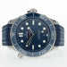 Omega Seamaster 300m Blue Dial Stainless Steel 42mm 210.32.42.20.03.001
