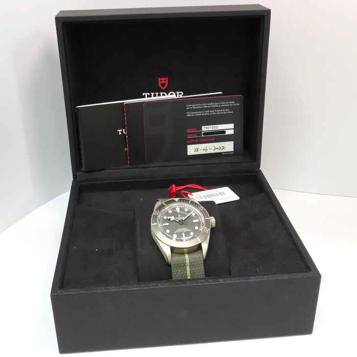 Tudor Black Bay Taupe Dial Sterling Silver 925 M79010SG-0002