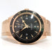 Omega Seamaster 300 Solid 18kt Rose Gold "Sedna" Black Dial 233.60.41.21.01.001