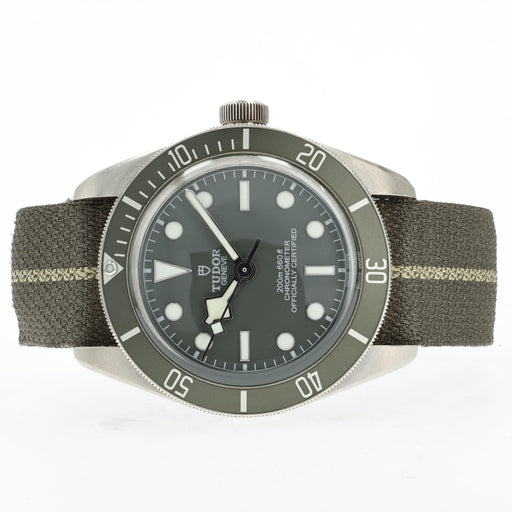 Tudor Black Bay Taupe Dial Sterling Silver 925 M79010SG-0002
